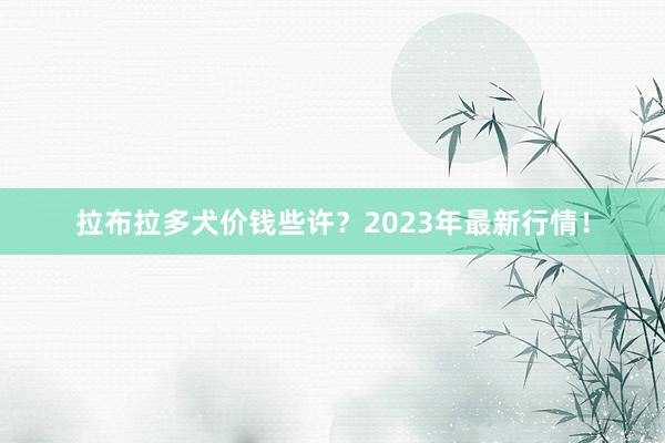 拉布拉多犬价钱些许？2023年最新行情！