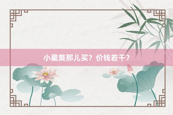 小藏獒那儿买？价钱若干？