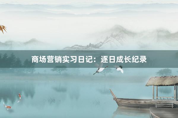 商场营销实习日记：逐日成长纪录